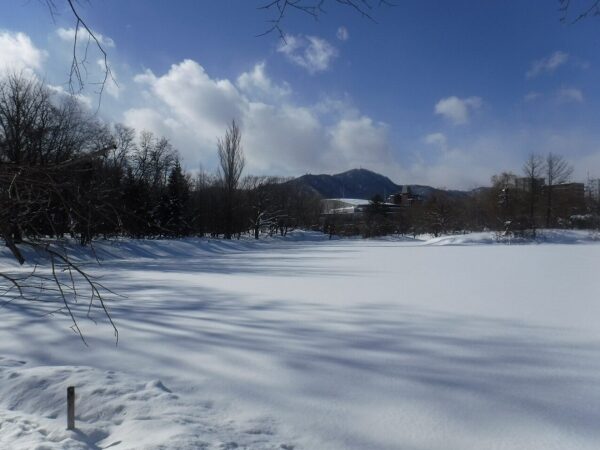 一面雪に覆われた菖蒲池