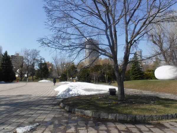 kitara正面玄関前の花壇