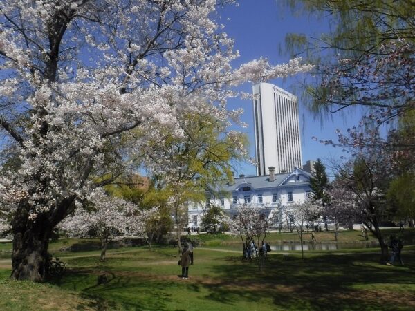 豊平館とソメイヨシノ