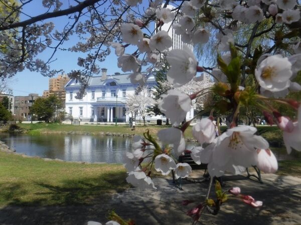 豊平館とソメイヨシノ