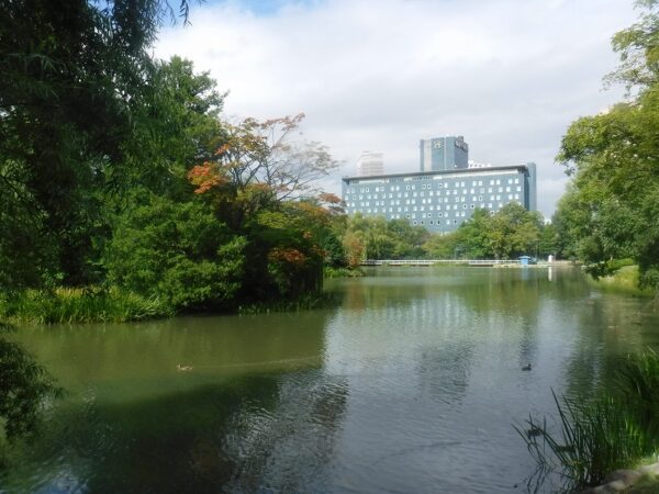 葉先が少し赤く色づき始めた菖蒲池の水際の紅葉