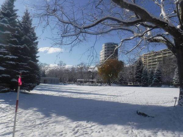 一面雪景色の自由広場