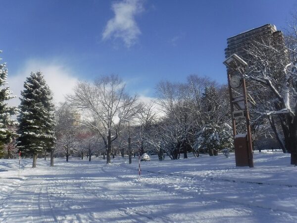 -3度と表示された園内の外気温計