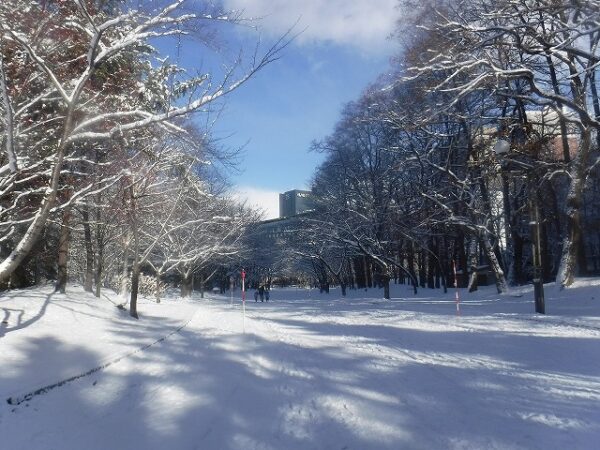 雪に覆われた園路