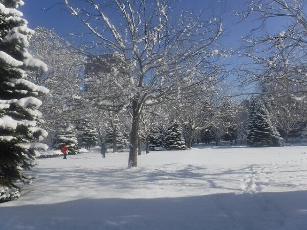 雪景色を背景に写真撮影をする観光客