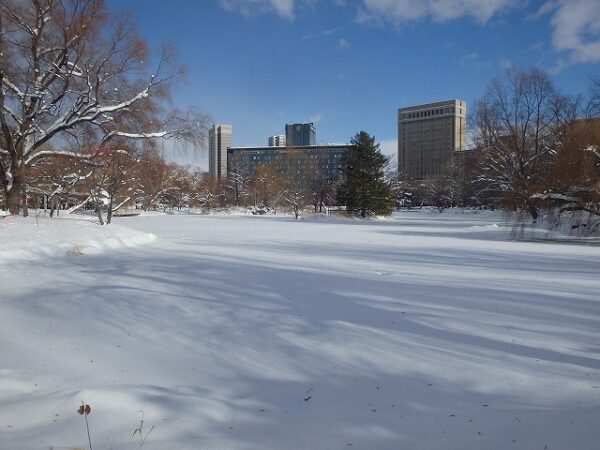 札幌パークホテルを背景にした菖蒲池
