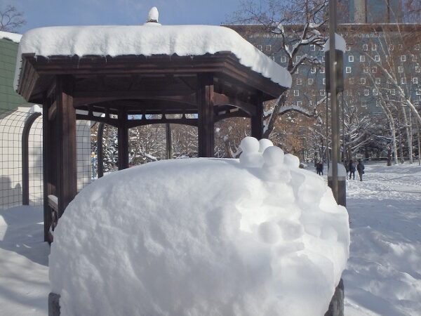綿菓子のようにふわっと積もった雪山