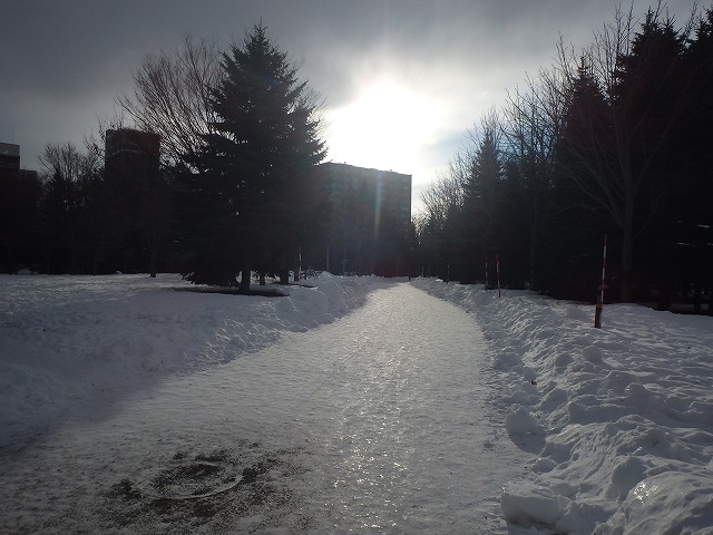 自由広場から地下鉄「幌平橋駅」方面へ向かう園路