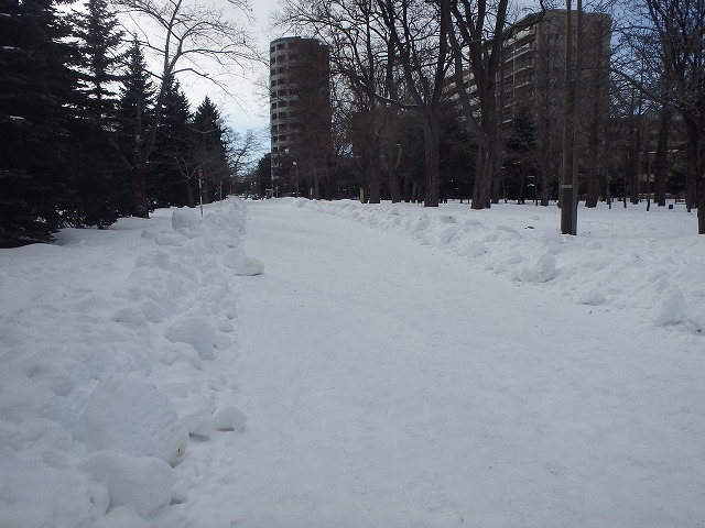 自由広場西側園路