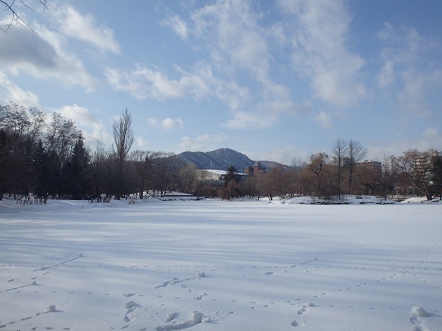 藻岩山を背景にした菖蒲池