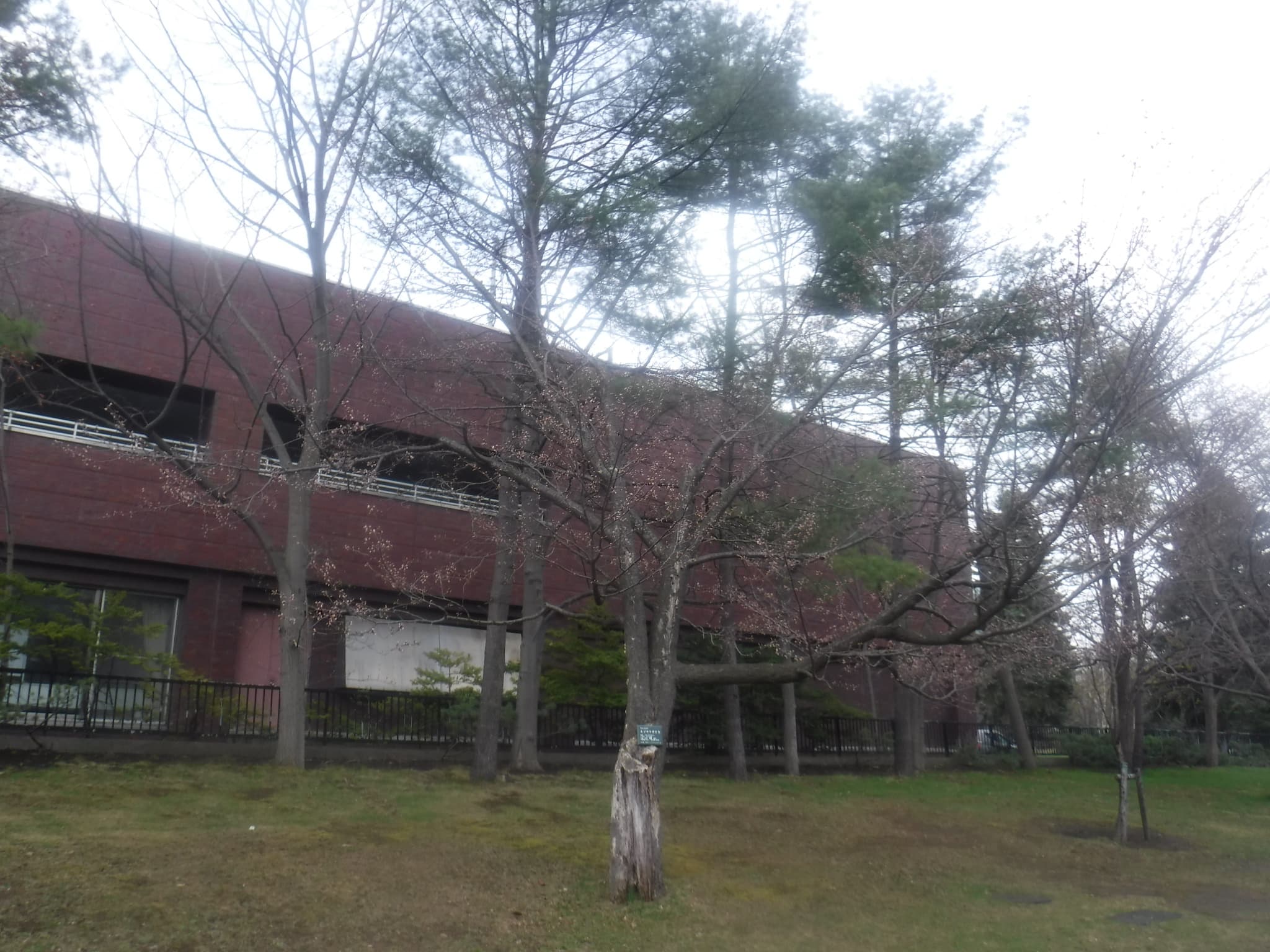 中島体育センター裏1