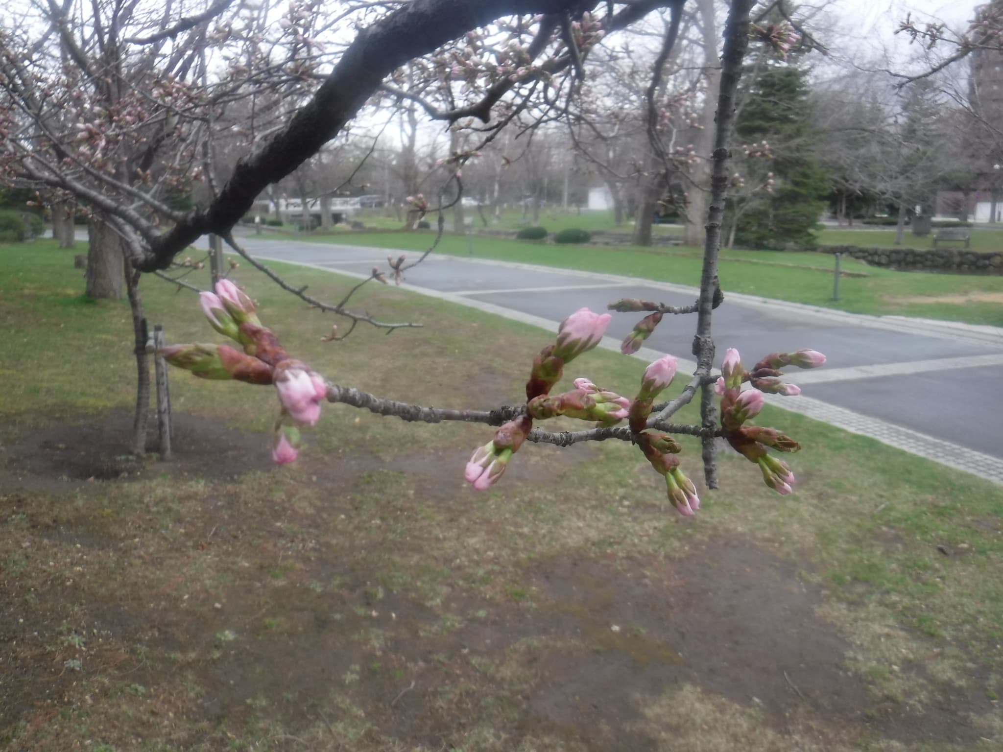 中島体育センター裏2