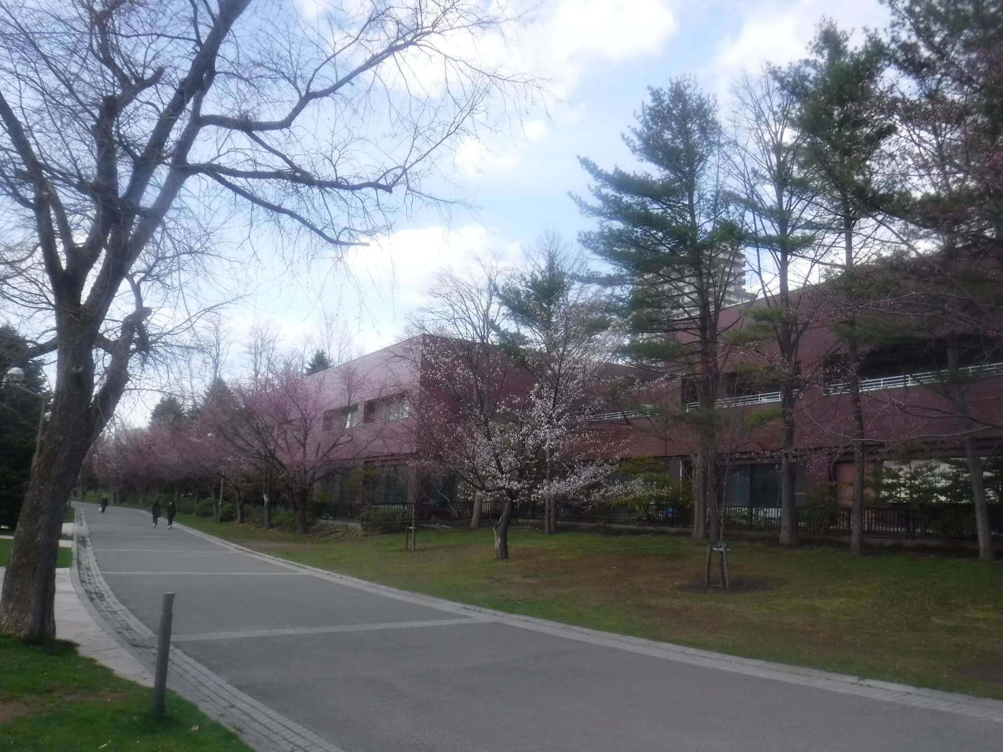 中島体育センター裏