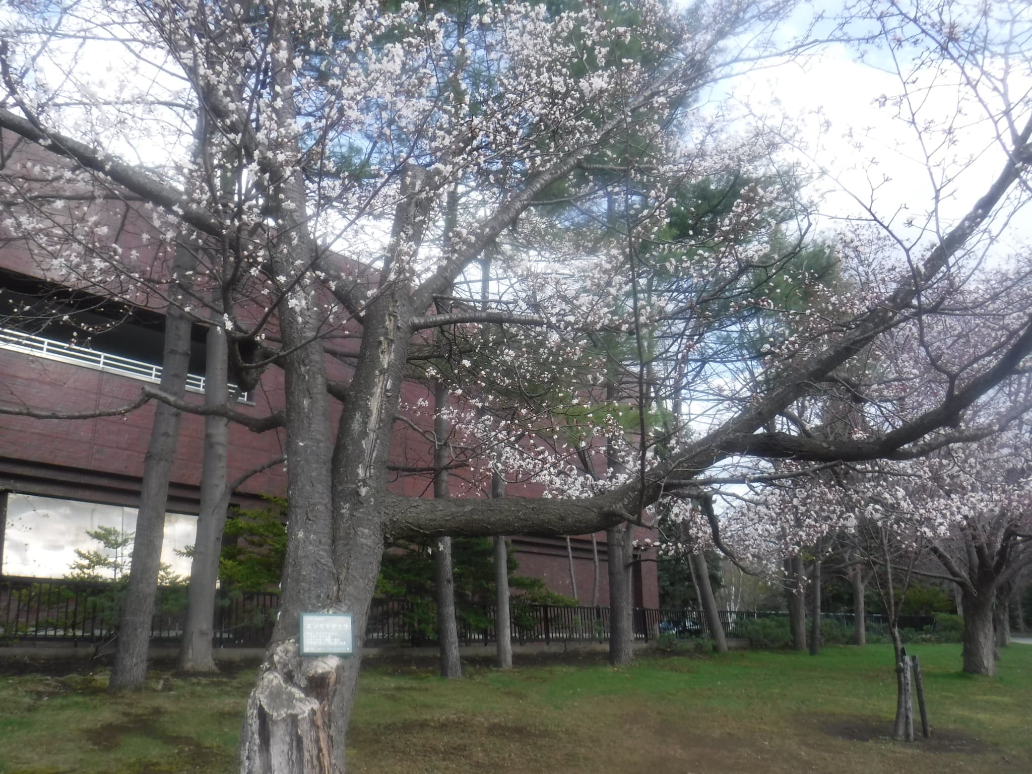 中島体育センター裏