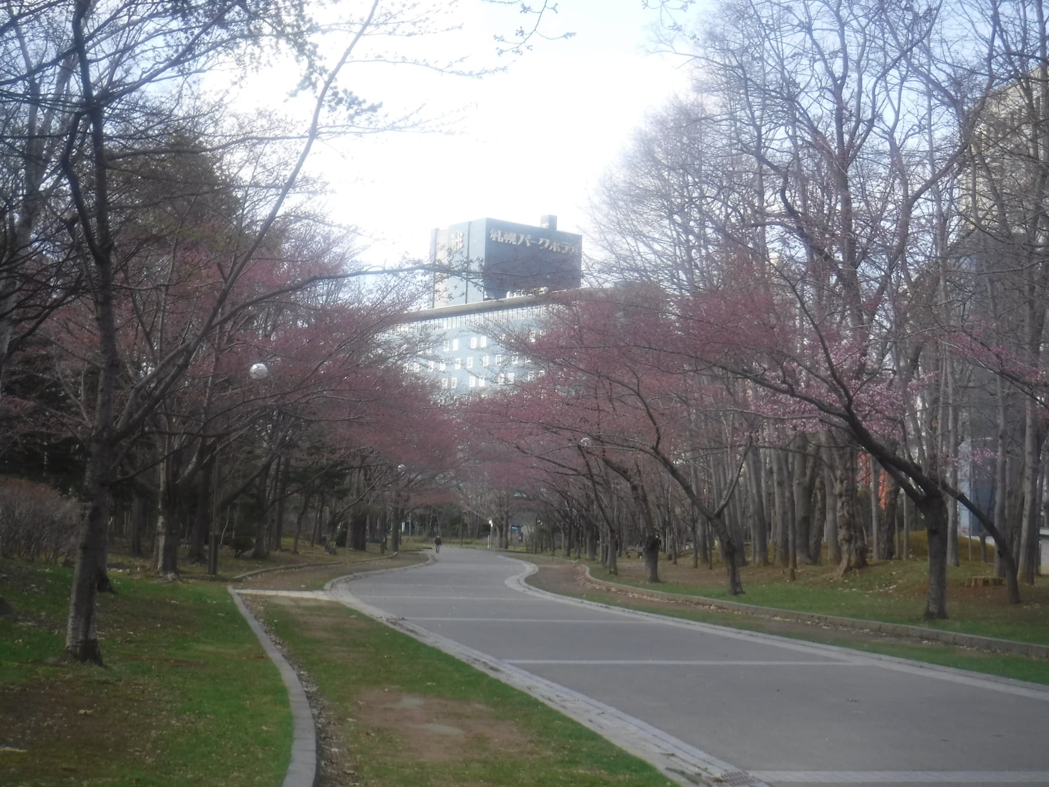 中島公園内の園路