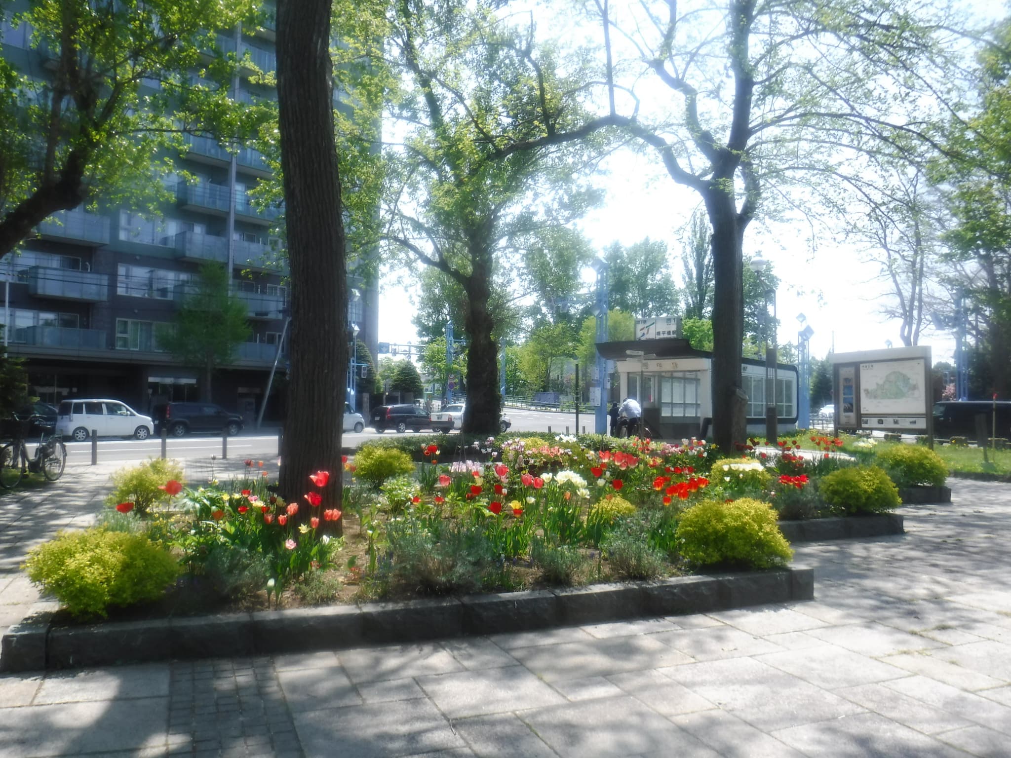 幌平橋駅前花壇