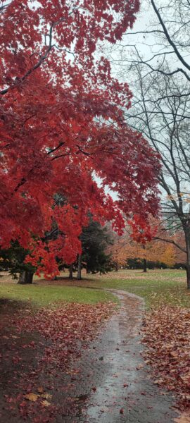 体育センター横
