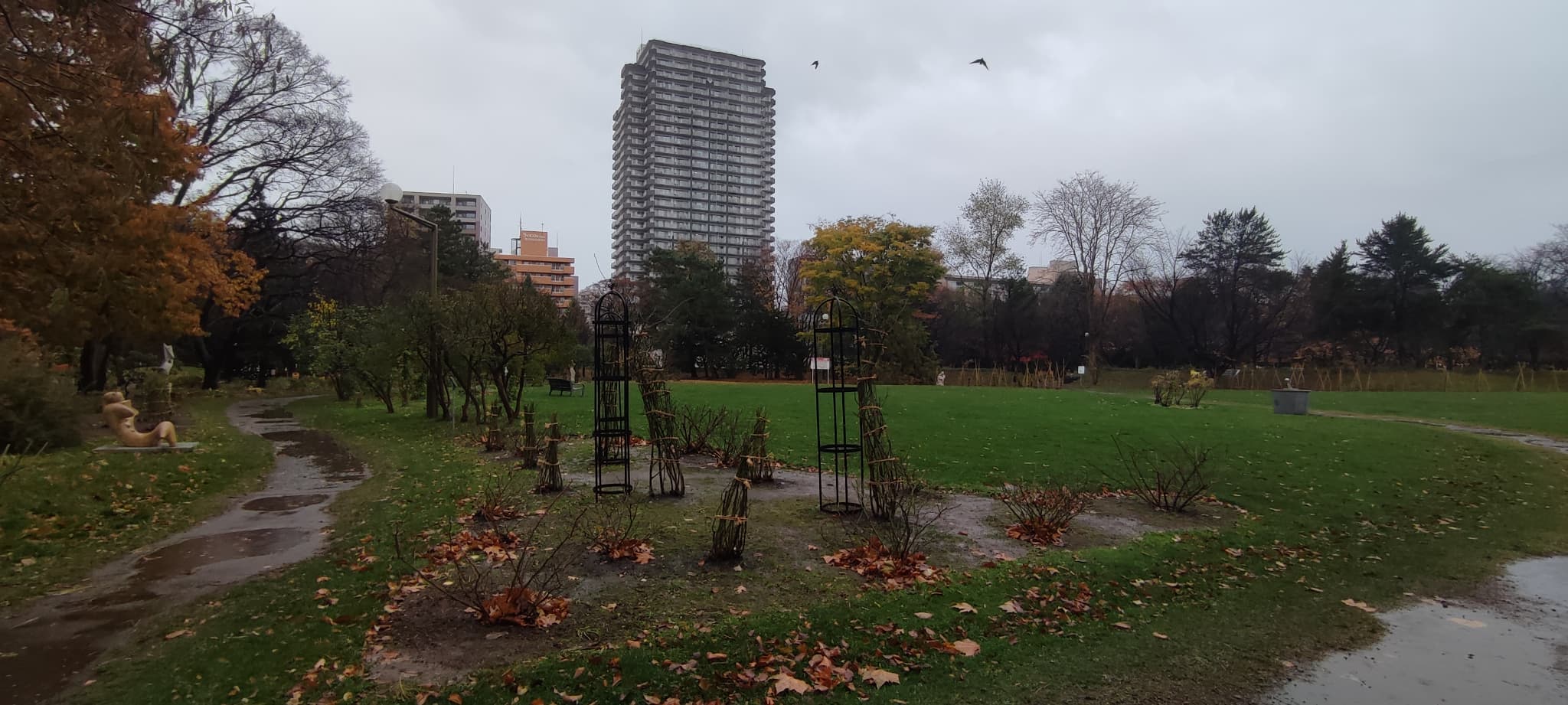 香りの広場の冬囲い