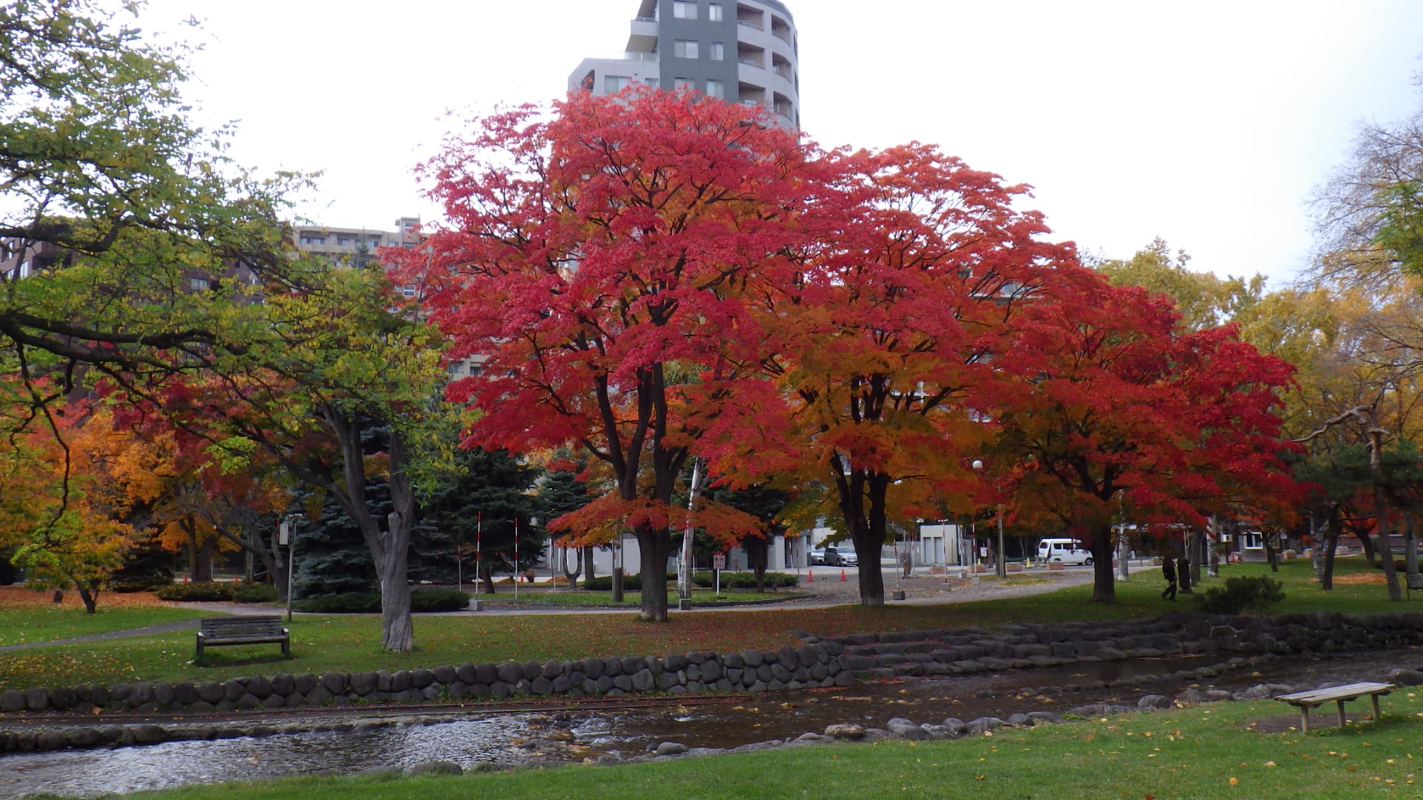 鴨々川のほとり