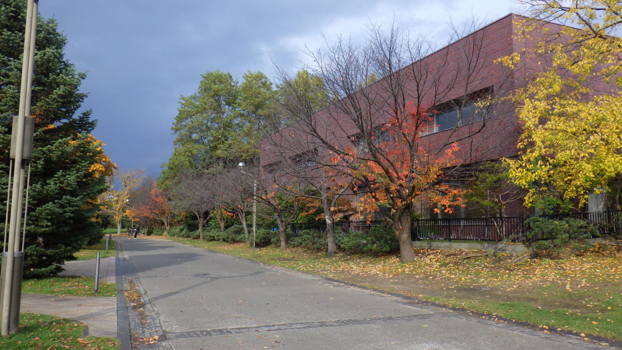 中島体育センター裏