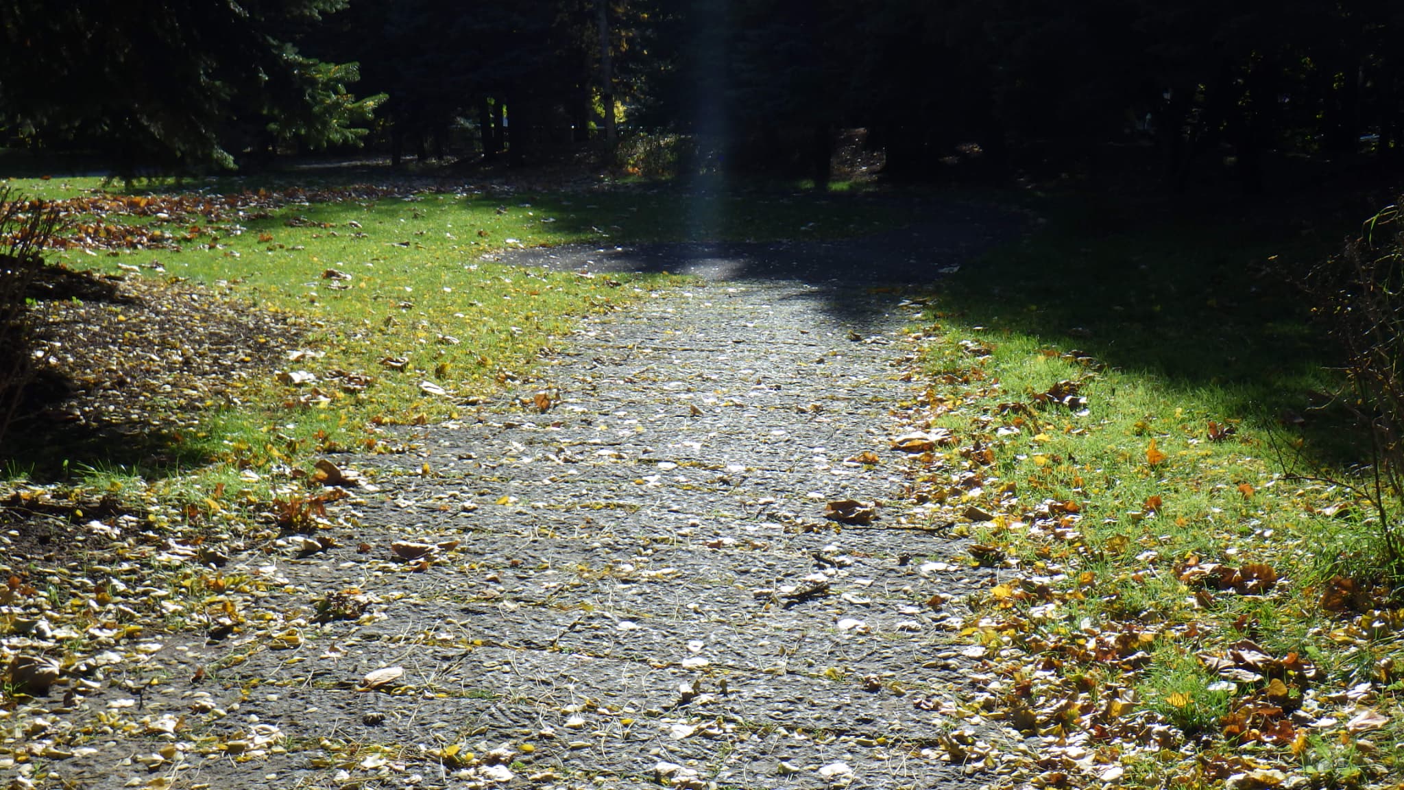 キタラ横の小径
