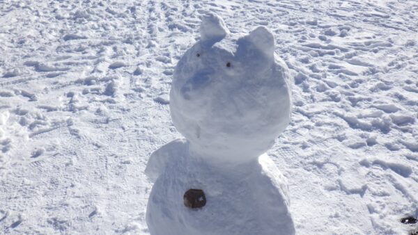 クマの雪像