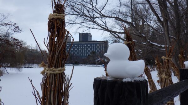 パークホテルとあひる