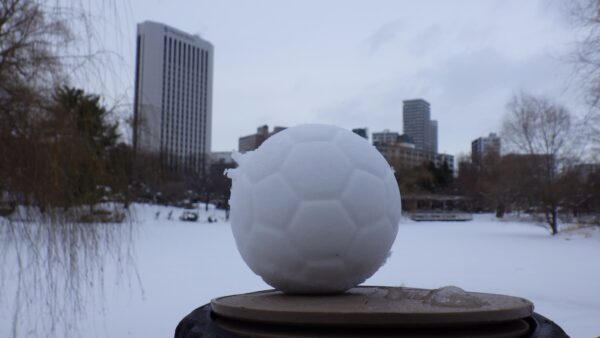 菖蒲池とサッカーボール