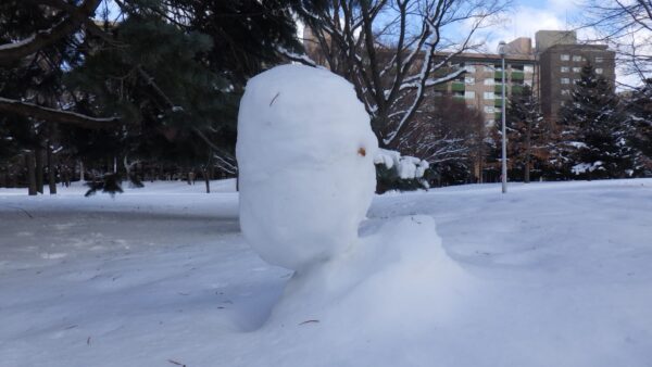 バランスの良い雪玉