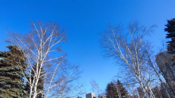 雲ひとつない空