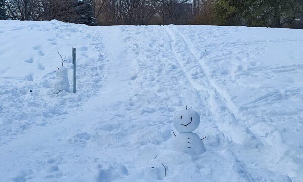 香りの広場横の雪だるま