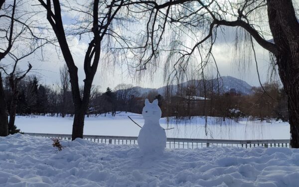 菖蒲池横の雪だるま2