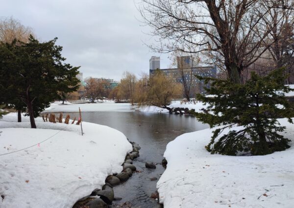 鴨々川と菖蒲池