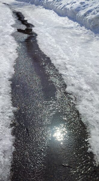 園路の雪解け