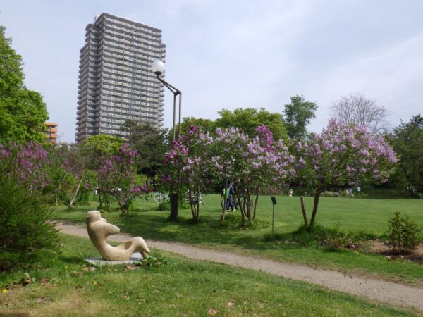 香りの広場のライラック