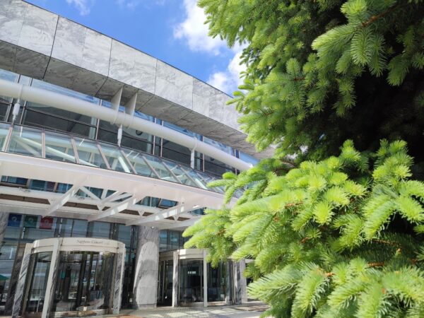 キタラ前のプンゲンストウヒ