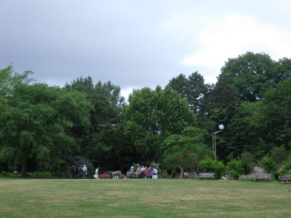 フローレスの会活動日