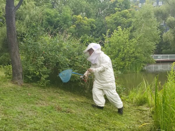 虫取り網の意味は・・・