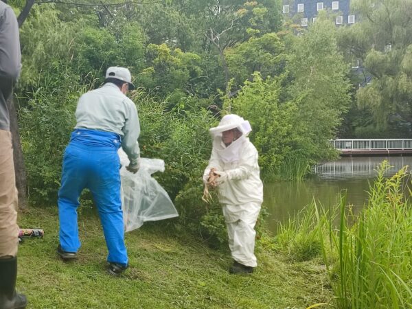 白いのは人だった・・・