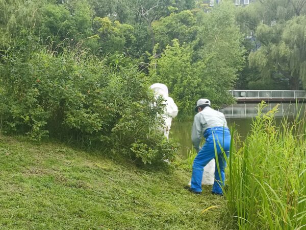 茂みに白い何かが・・・