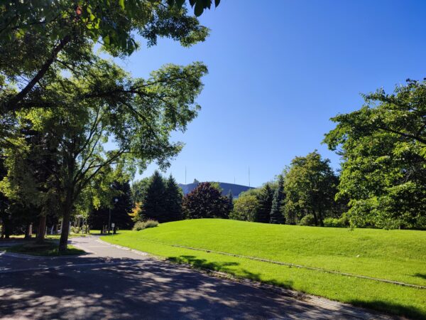 奥にキタラのてっぺんが