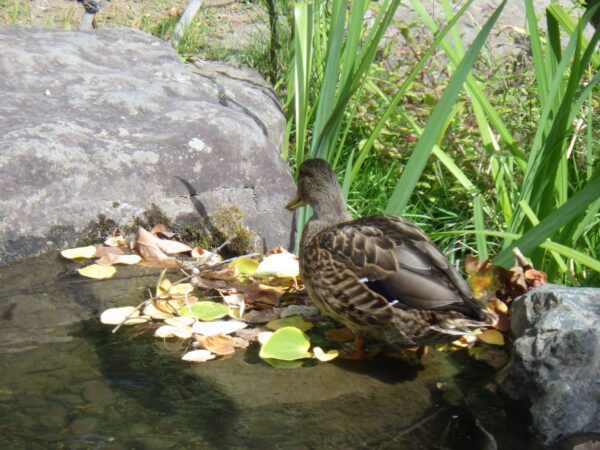 見られたくない・・・