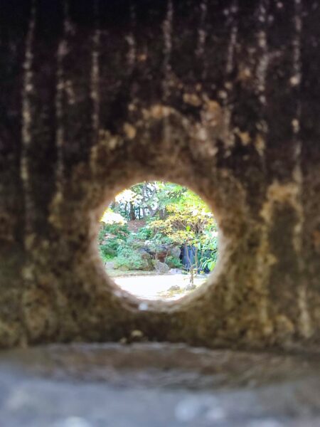 映えスポット誕生