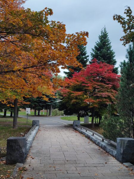 レナード・バーンスタイン像につながる橋