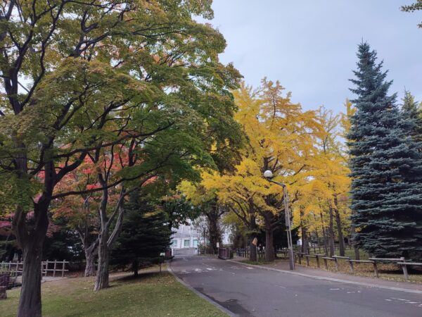 キタラにつながる道路より