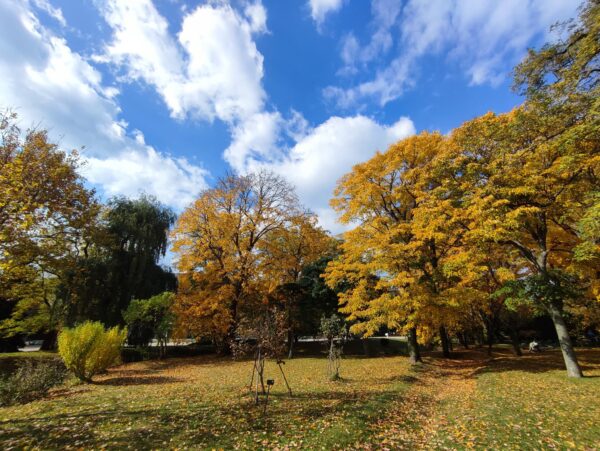 香りの広場の紅葉