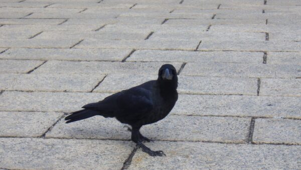 二人とも足が長くて格好いいじゃん・・・