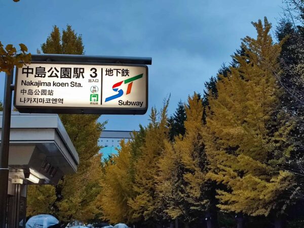 地下鉄中島公園駅3番出入口とイチョウ並木