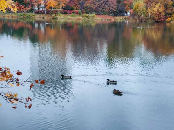 今日も仲良く。