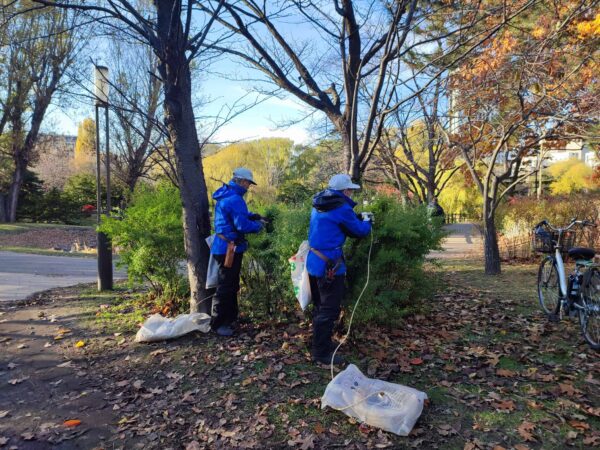 そしてシンクロ再来。